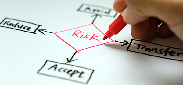 Risk analysis consulting