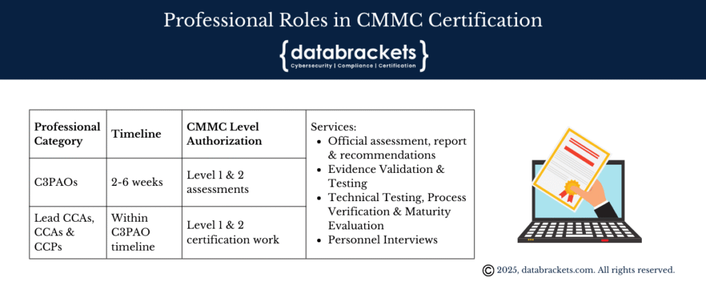 What are the Professional Roles in CMMC Certification