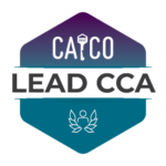 Lead CCA designation given to Srinivasan Kolathur